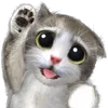 Эмодзи Mofu Kitten