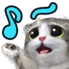 Эмодзи Mofu Kitten