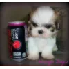 Эмодзи Dogs