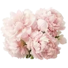 Эмодзи Flowers