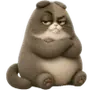 Сердитый Мокко