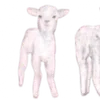 Эмодзи pink dividers