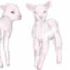 Эмодзи pink dividers