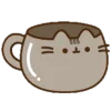 pusheen ‧₊﹢ٯ౿