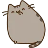 Эмодзи pusheen ‧₊﹢ٯ౿
