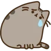 Эмодзи pusheen ‧₊﹢ٯ౿