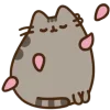 Эмодзи pusheen ‧₊﹢ٯ౿