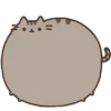 Эмодзи pusheen ‧₊﹢ٯ౿