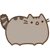 Эмодзи pusheen ‧₊﹢ٯ౿