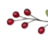 буквы и цветы