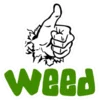 Эмодзи PedoBearStaticEmoji