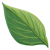 Plants Font