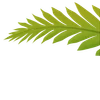 Эмодзи Plants Font