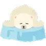 Полярный медведь