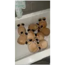 Эмодзи Pou