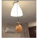 Эмодзи Pou