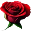 Эмодзи Red Tory