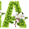 Эмодзи Сезоны