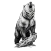 Эмодзи Shamanic