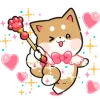 Shiba Puppy