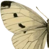 Эмодзи ⋆ ˚。⋆ в тишине звезд ✧˖ ✶