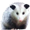Эмодзи Opossums