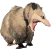 Эмодзи Opossums