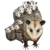 Эмодзи Opossums