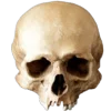 Эмодзи Skully Mood