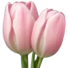 Эмодзи Spring