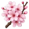 Эмодзи Spring