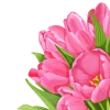 Spring and Woman
