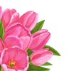 Эмодзи Spring and Woman