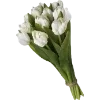 Эмодзи Spring dreams