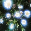 Эмодзи Nature