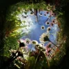Эмодзи Nature