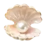Treasures from the Sea