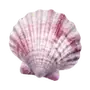 Эмодзи Treasures from the Sea