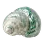 Эмодзи Treasures from the Sea