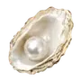 Эмодзи Treasures from the Sea