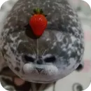 Эмодзи Тюленчик