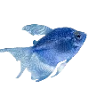 Эмодзи Sea World