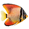 Эмодзи Sea World