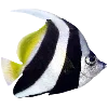 Эмодзи Sea World