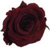Эмодзи Random red | Рандом красный