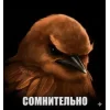 Эмодзи Birds Memes