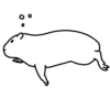 Эмодзи Zoo
