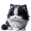 Эмодзи Чернобелая киса