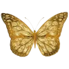 Эмодзи White and gold