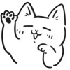 white cat